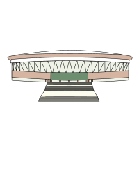 Stadium