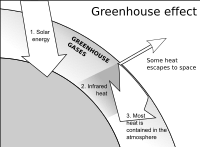 Greenhouse Effect