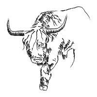 taurus 1