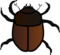 June Bug