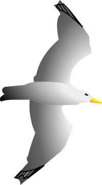 Seagull Remix