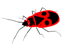firebug