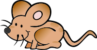 wet mouse