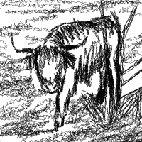 taurus9