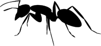 Ant silhouette 3