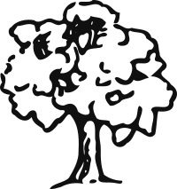arbre