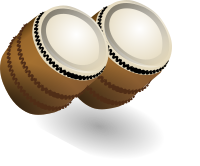 Dual Bongos