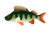 Perch