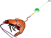 fishing bait
