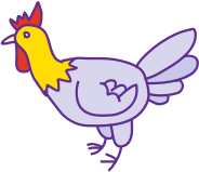 chicken دجاجة
