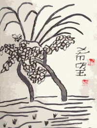 Cherry Blossoms - Chinese Hope