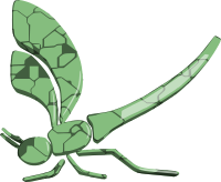 Dragonfly