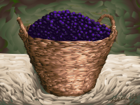 Plum Basket