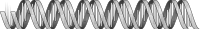 DNA helix