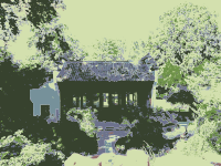 Chinese Garden I