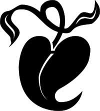 Aldus Leaf