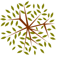 tree-12b