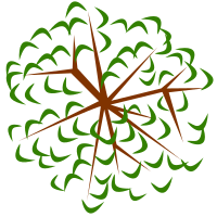 tree-12e
