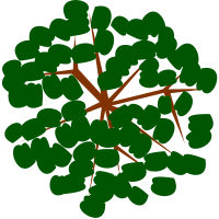 tree-12f