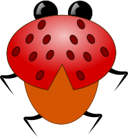 ladybug