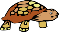 Tortoise