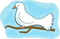 White Dove