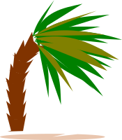 palmtree