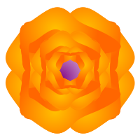 Orange Flower