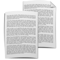 Document sheet