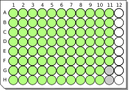 96 well Microplate