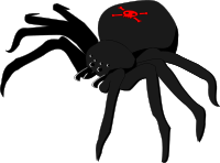 Skull and Crossbones Spider
