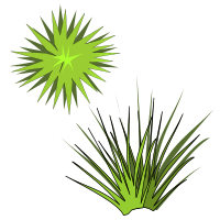plant-05