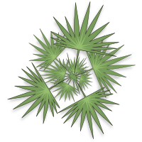 palm-03