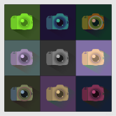 SLR Digital Camera Icons Color Study
