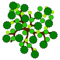 tree-14