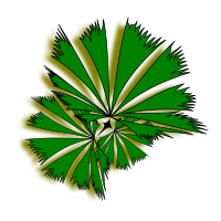 Palm-Raphis-01a