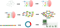  serial analysis of gene expression