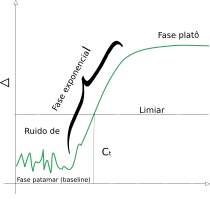 Real Time PCR