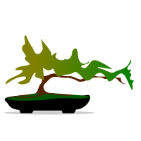 bonsai-03