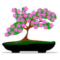 bonsai-01