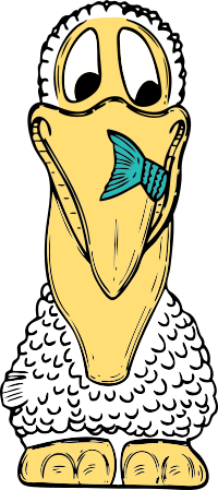 pelican