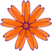 Orange Daisy