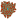Desert Bloom