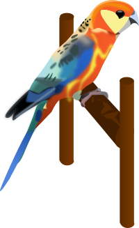 Parrot