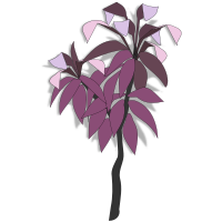 plant-06