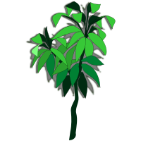 plant-06a