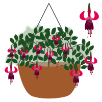 plant-07