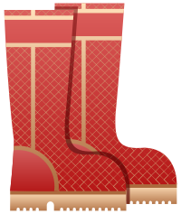 Wellies