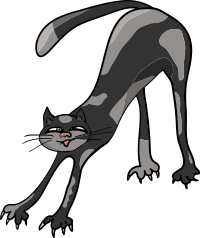 cat streching