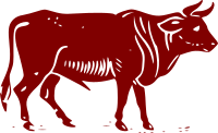 Bull
